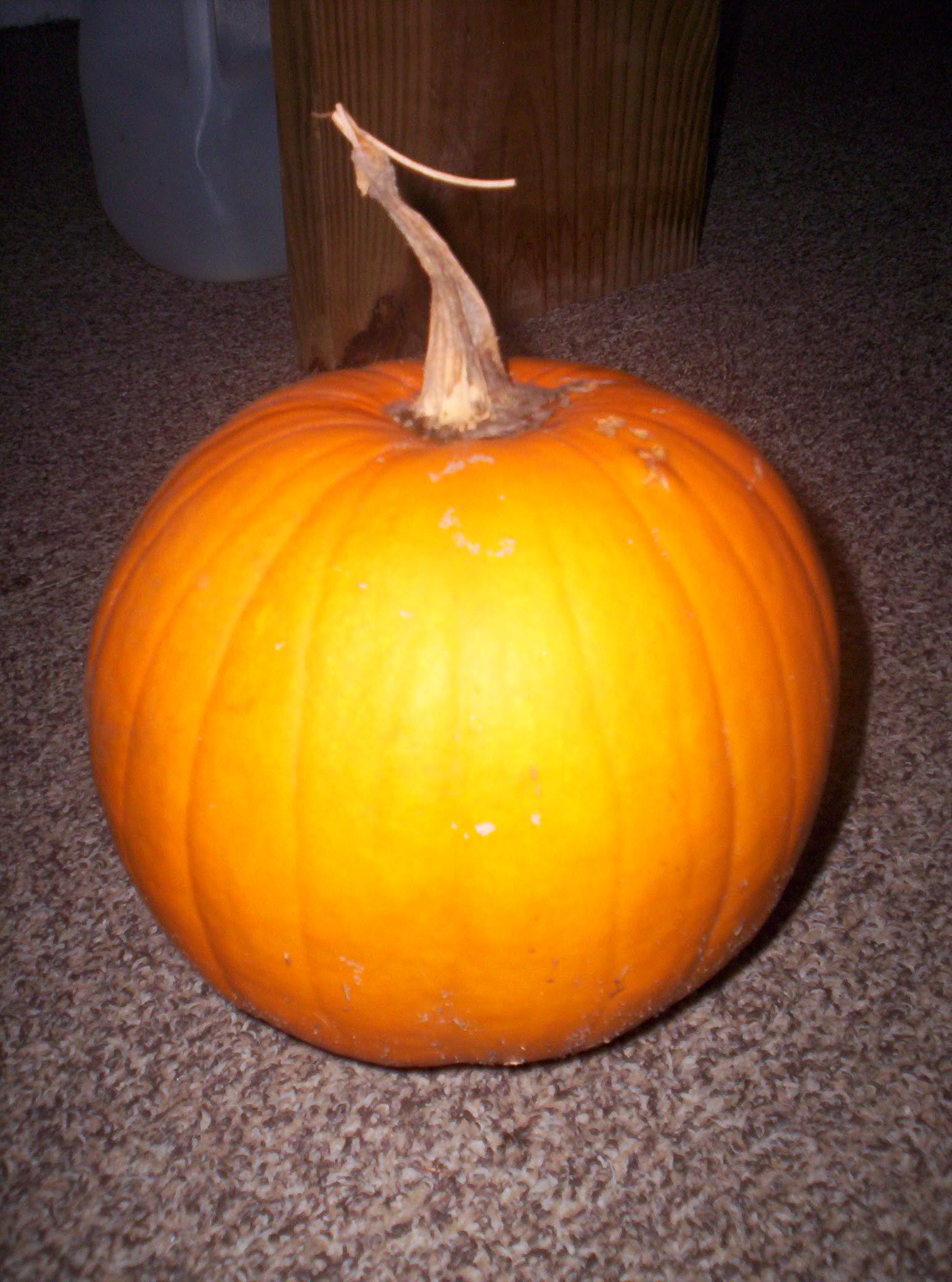 Pumpkin 1 Old