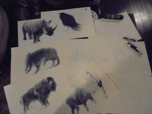 BicPen animals WIP