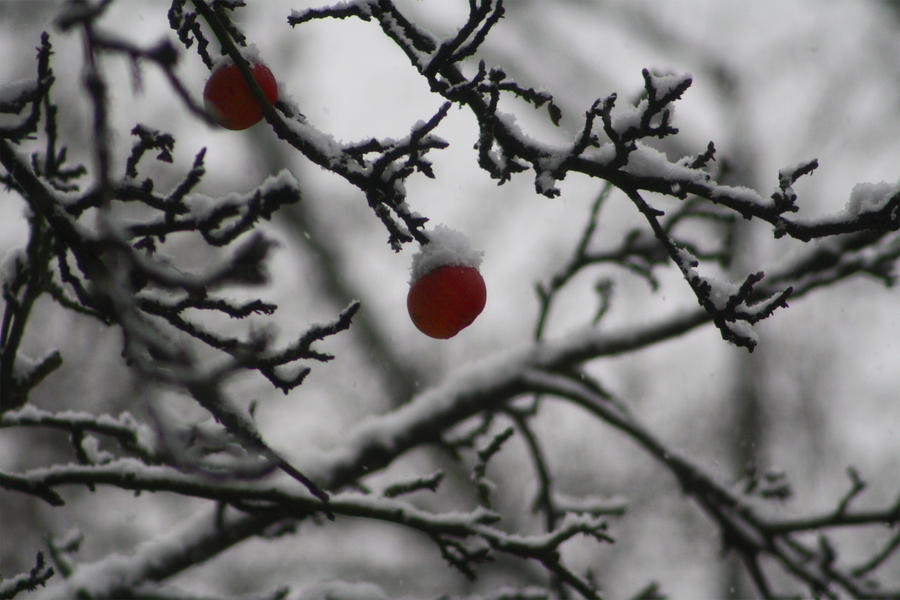 Winterzauber in Essen