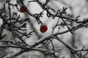 Winterzauber in Essen