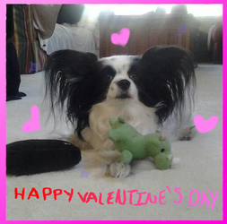 Puppy Valentine