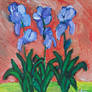 The Lonely Irises