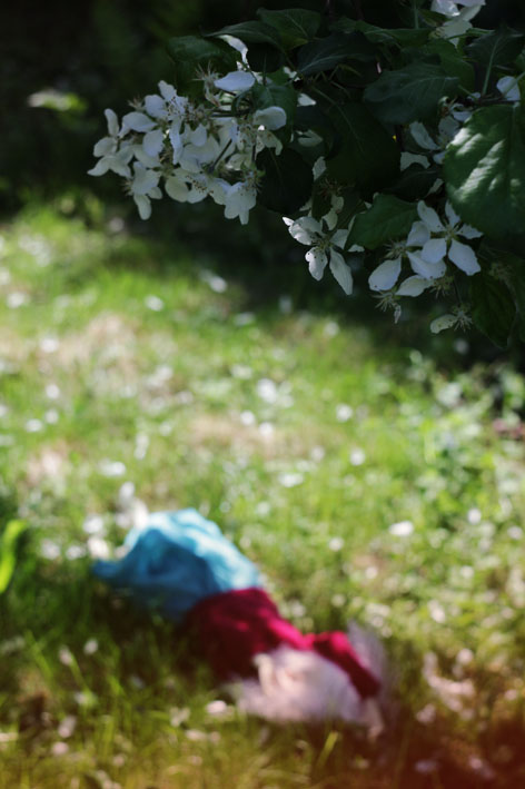 Under the apple tree