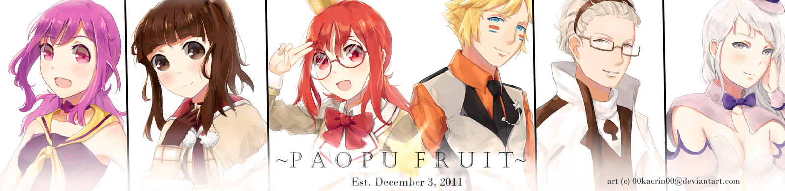 Paopu Fruit Banner