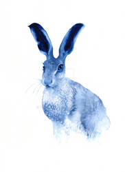 'I'M ALL EARS' - the Hare by Tara Winona