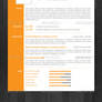 Stylish and Clean Resume