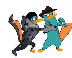 Perry vs. Perry