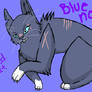 Bluenose Meddie Cat