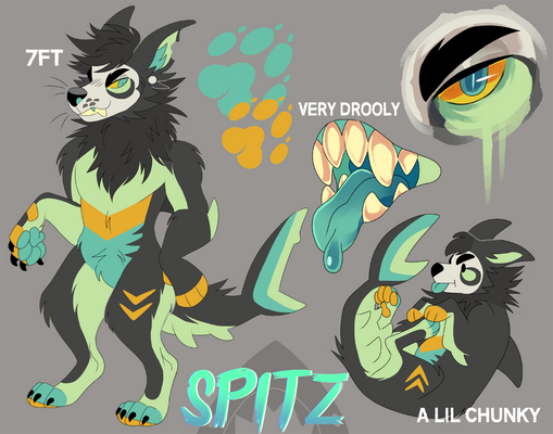 Spitz Reference 2018