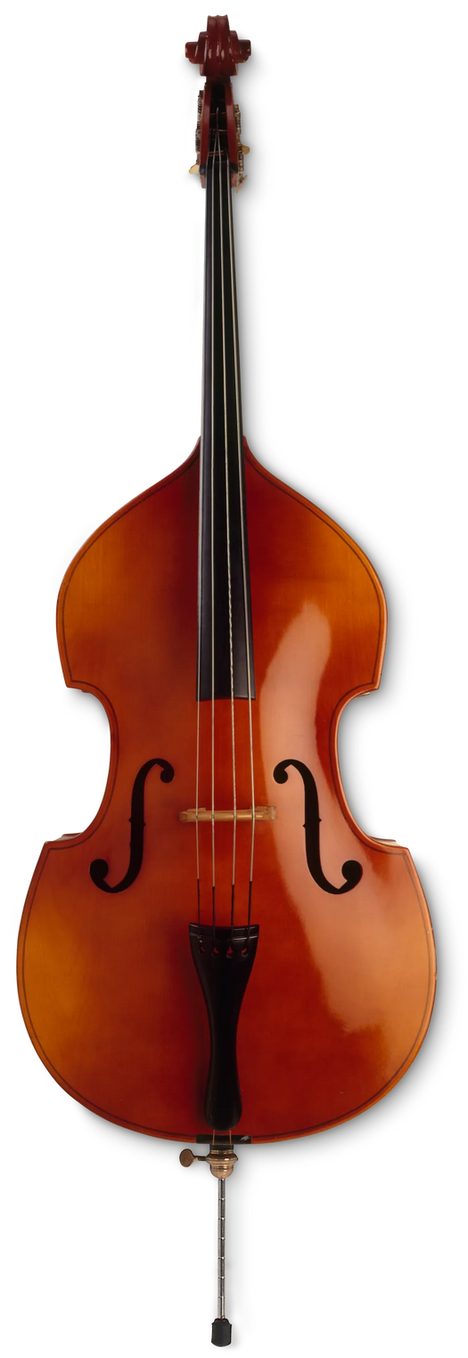 Double Bass by Pattylarosa on DeviantArt