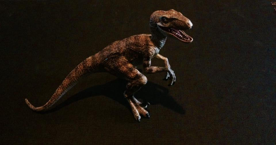 Papo Velociraptor by Acrofan on DeviantArt
