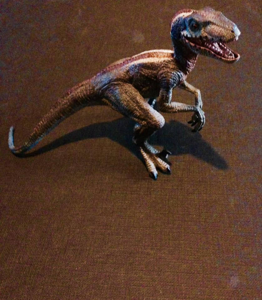 Papo Velociraptor by Acrofan on DeviantArt