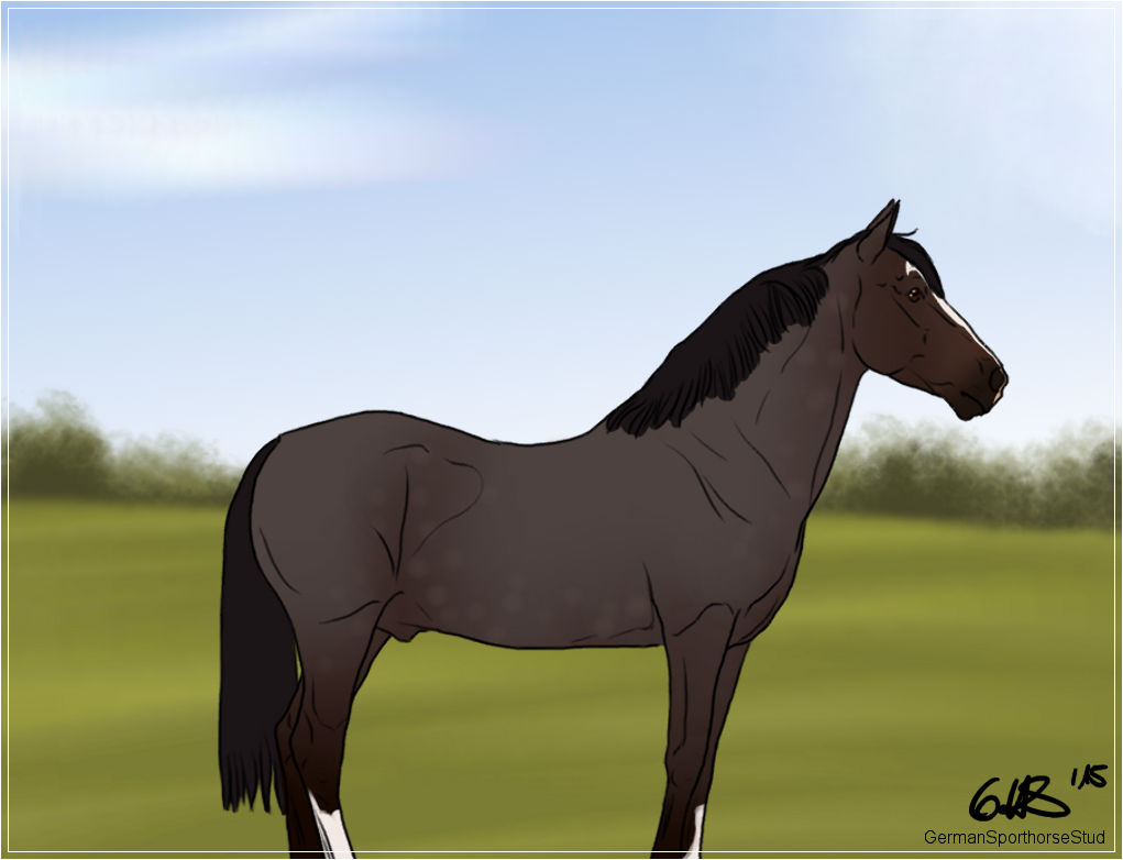 GC Phantom 1/2 by GermanSporthorseStud on DeviantArt