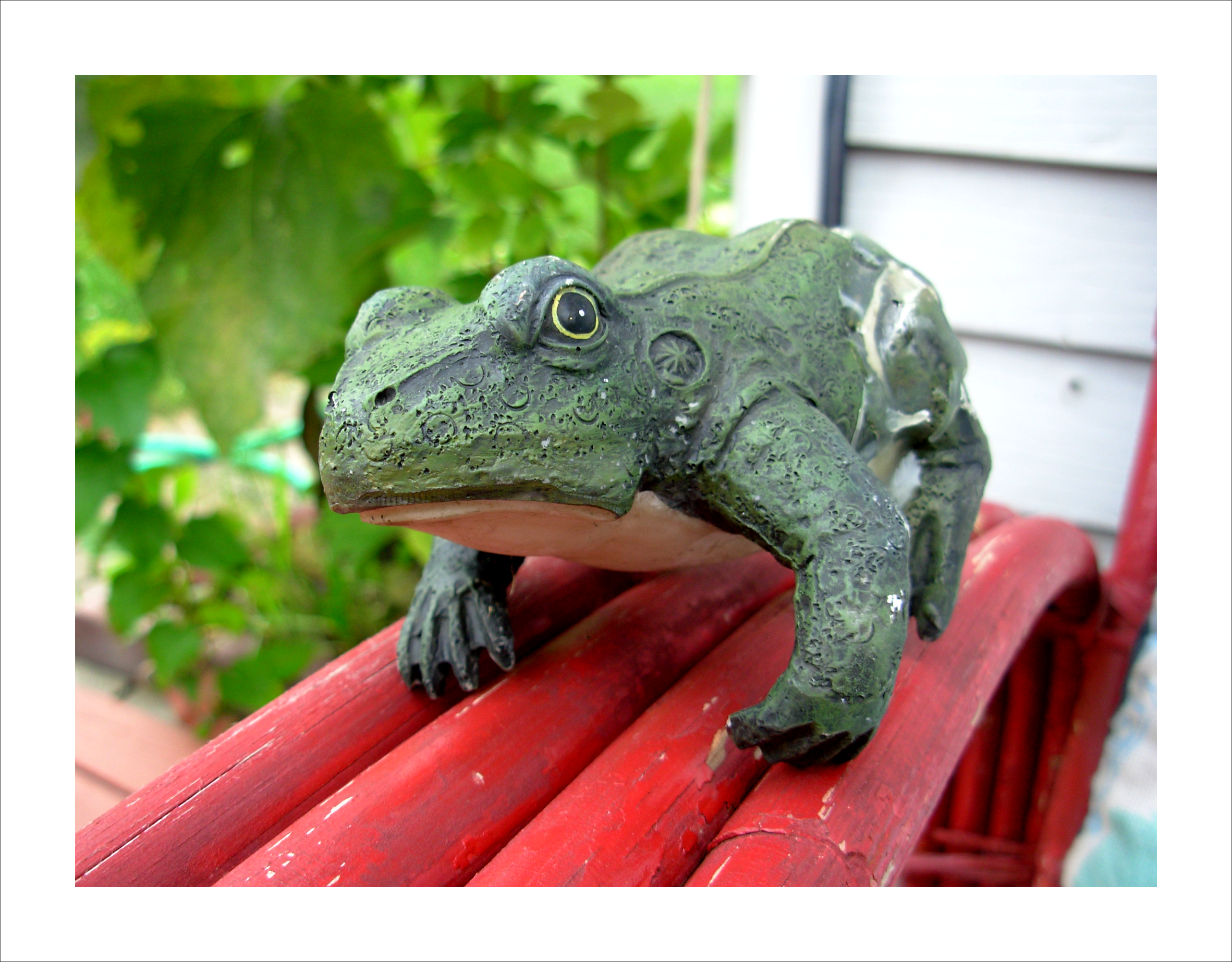 Ceramic Frog