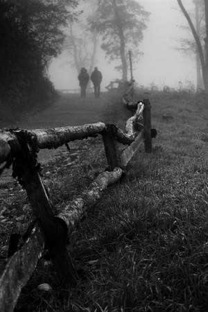 November by Malleni-Art November by Malleni-Art