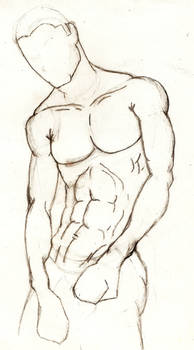 Male anatomy study2