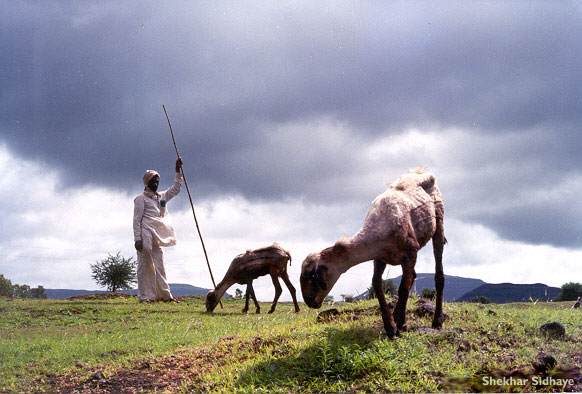 Rural India