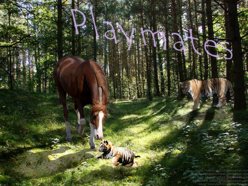 Playmates