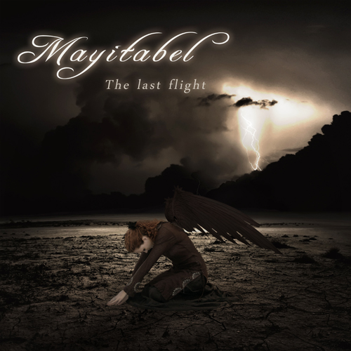 The last flight CD cover