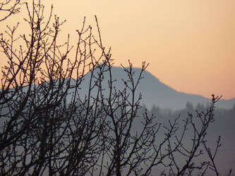 branches and volcano by dewjack