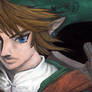 Link - Twilight Princess