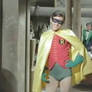 Robin the gay wonder