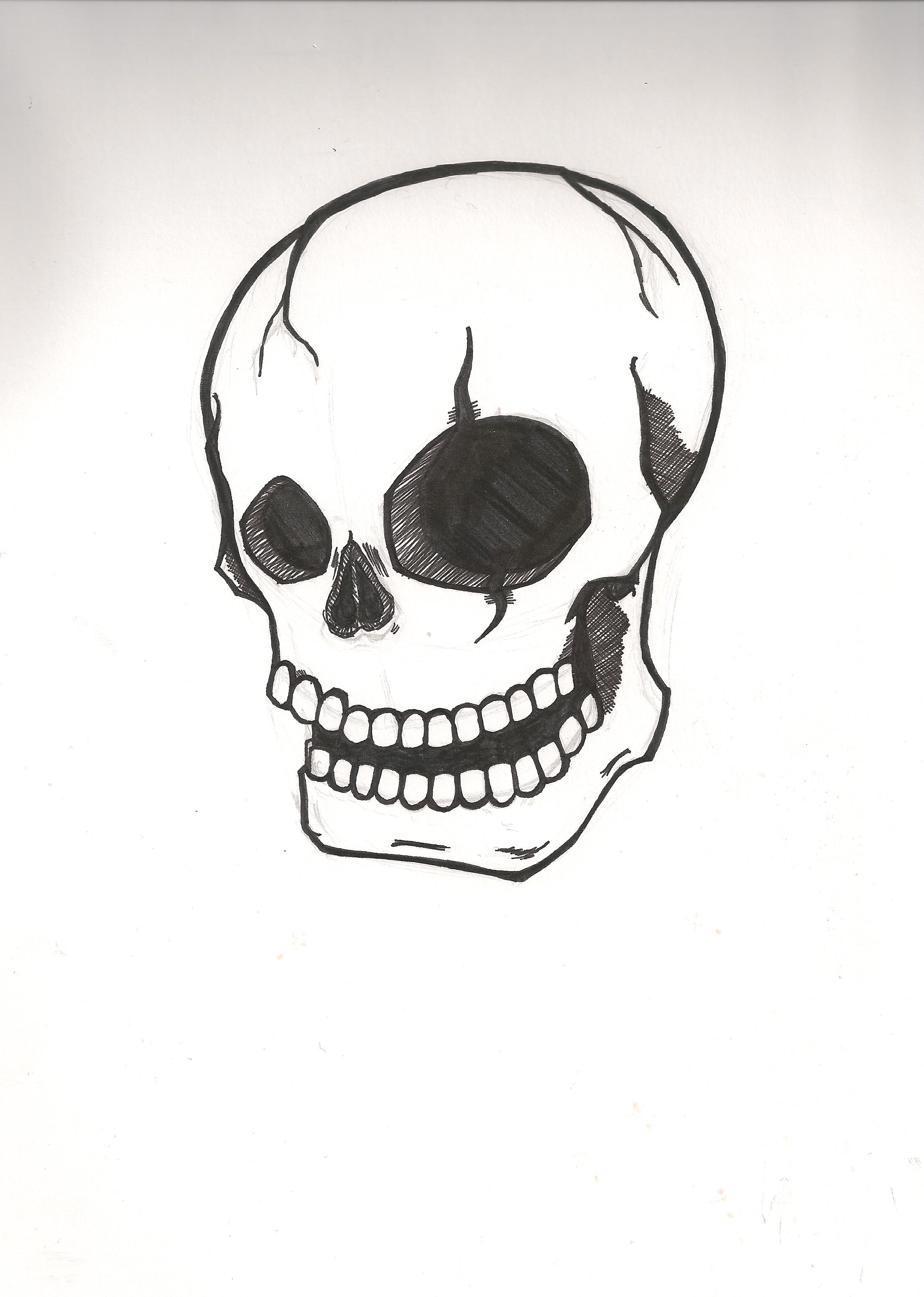 Skulls are cool