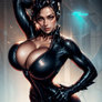 Catwoman: Steel Resolve ANIMATION