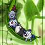 Peas in a Pod