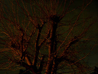 Spooky Tree 2