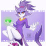 Blaze The Cat