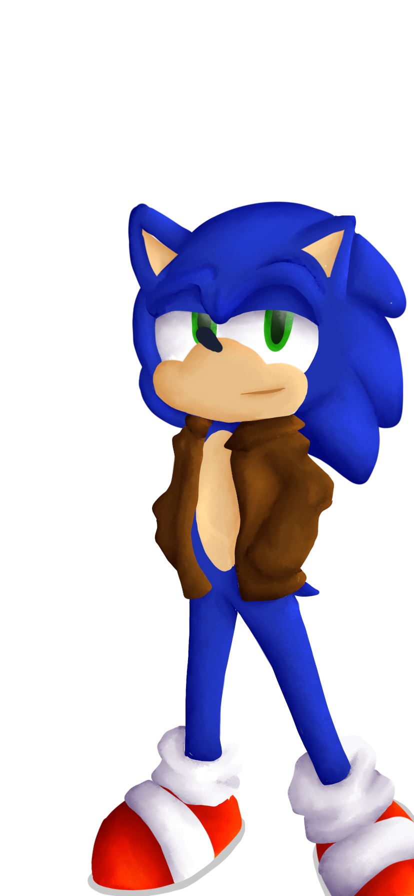 Sonic and Shadow jackets — Weasyl