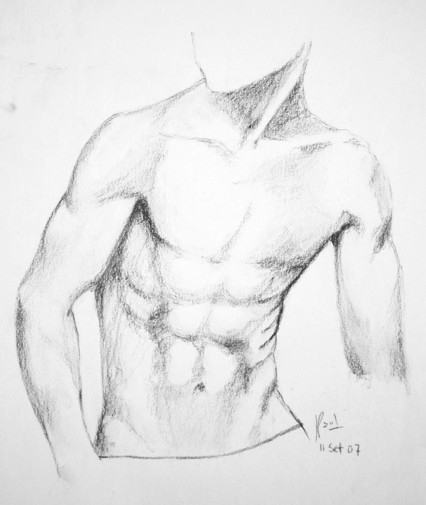 Male Torso2