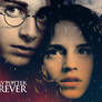 Harry Potter Forever