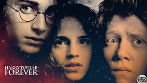 Harry Potter Forever