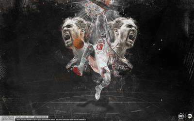 Joakim Noah Wallpaper