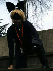 Sakuracon 2016: Cat Noir Cosplay-On Guard Duty...