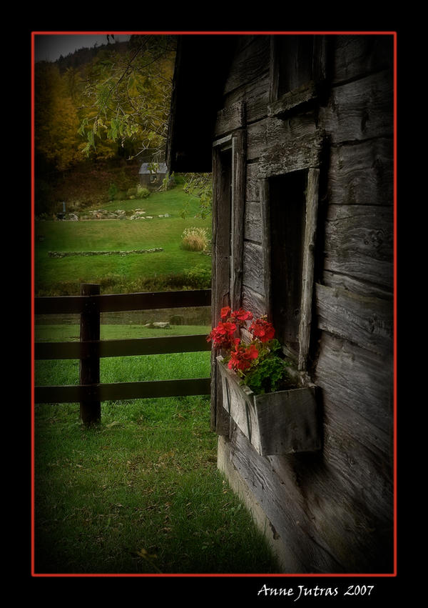 Rustic Flowers