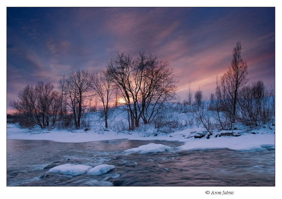 Winter Sky