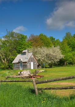 Country store