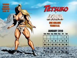 TCC January 2010 - 1