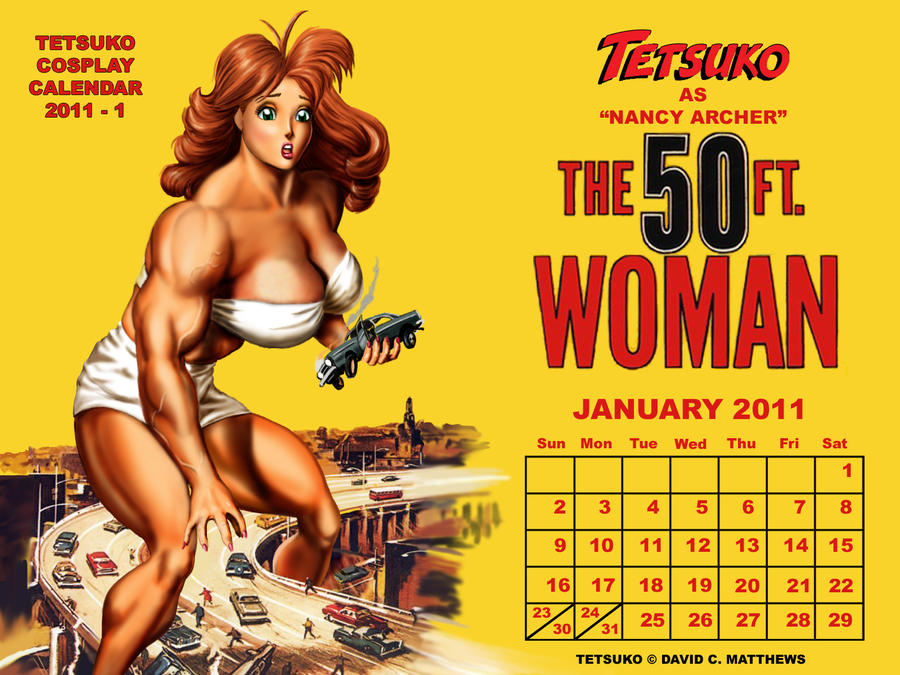 TCC January 2011