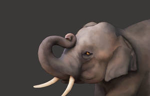 Elephant WIP