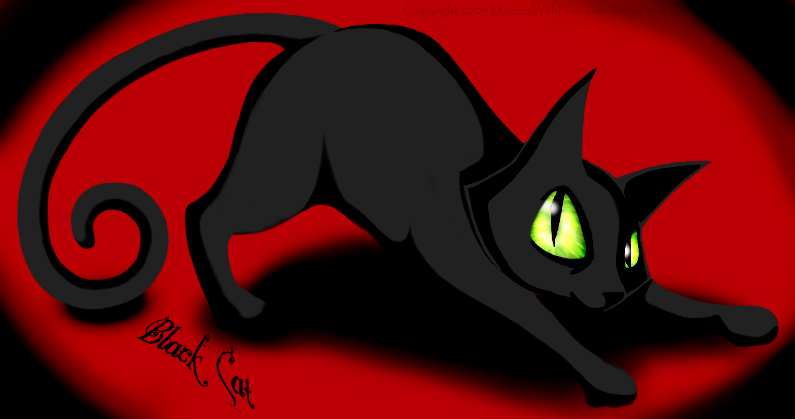 Black Cat