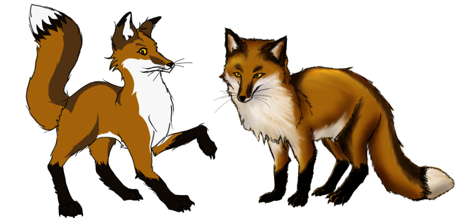 Foxes