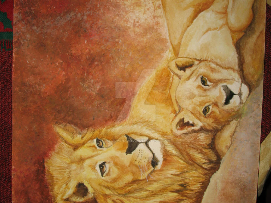Lion and the Lioness
