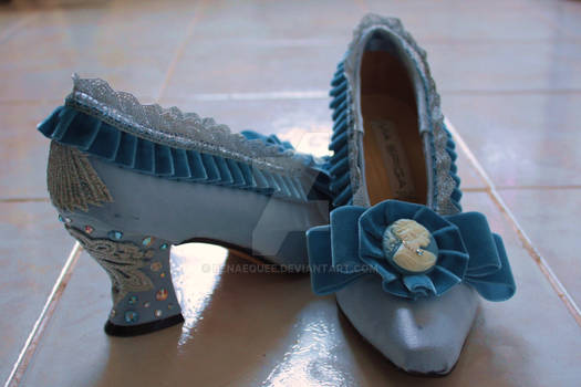 Marie Antoinette Shoes