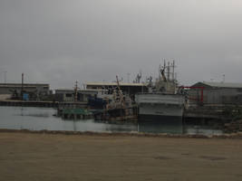 Tonga harbour