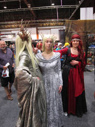 Cosplayers at Auckland Armageddon