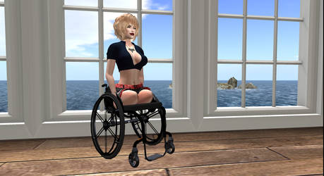 Dak Amputee Wheelchair 001